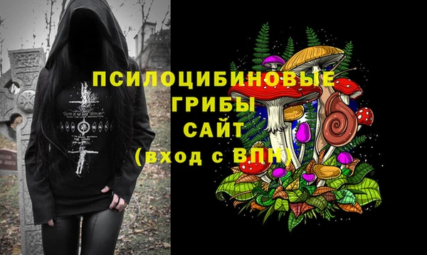 альфа пвп Армянск