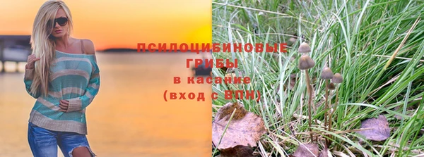 соль ск Арсеньев