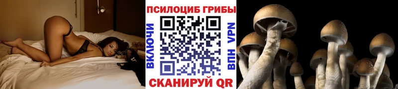 Галлюциногенные грибы ЛСД  Мамадыш 