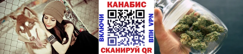 как найти   Мамадыш  Шишки марихуана OG Kush 